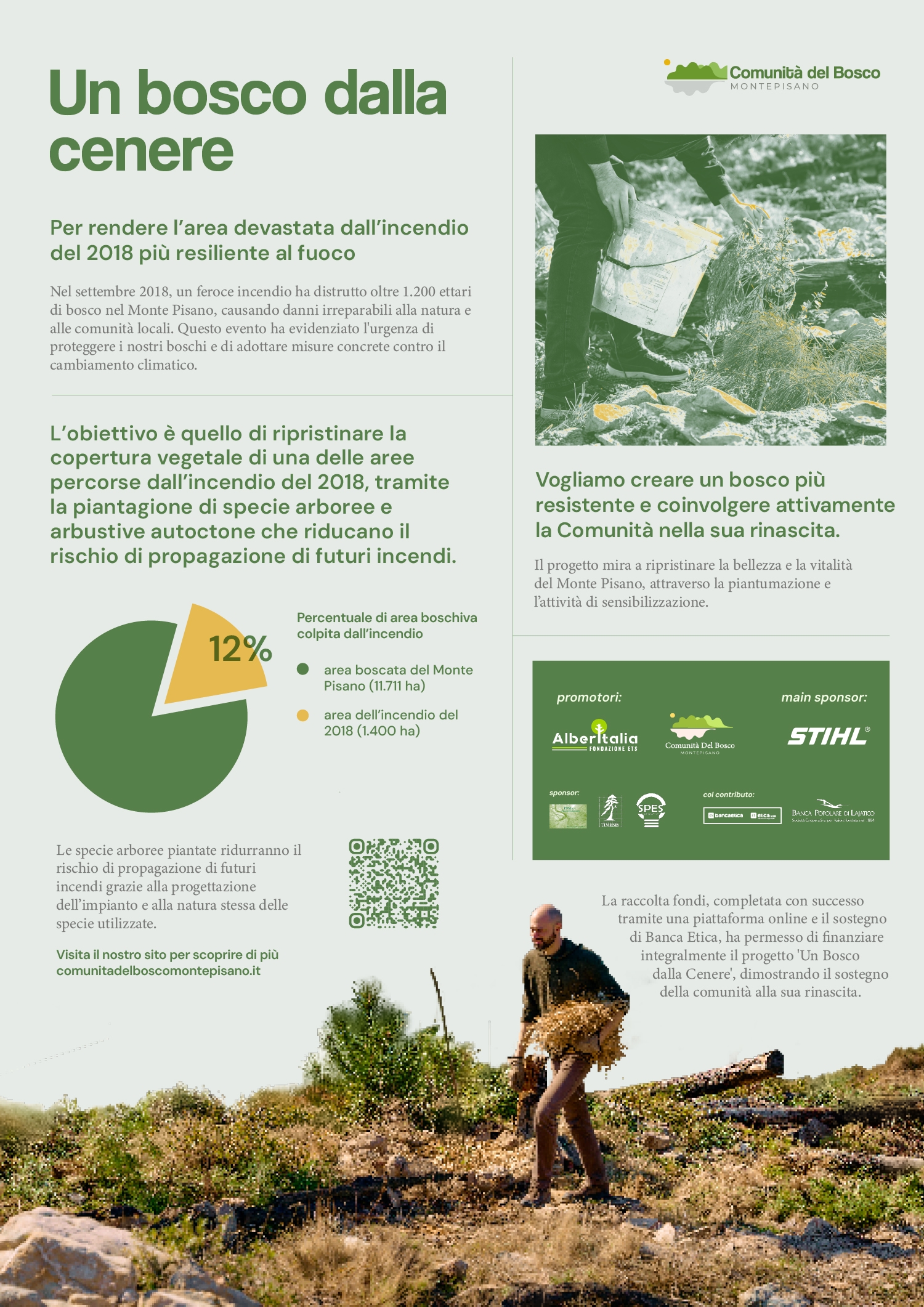 cartellone bosco dalla cenere@1500x-100